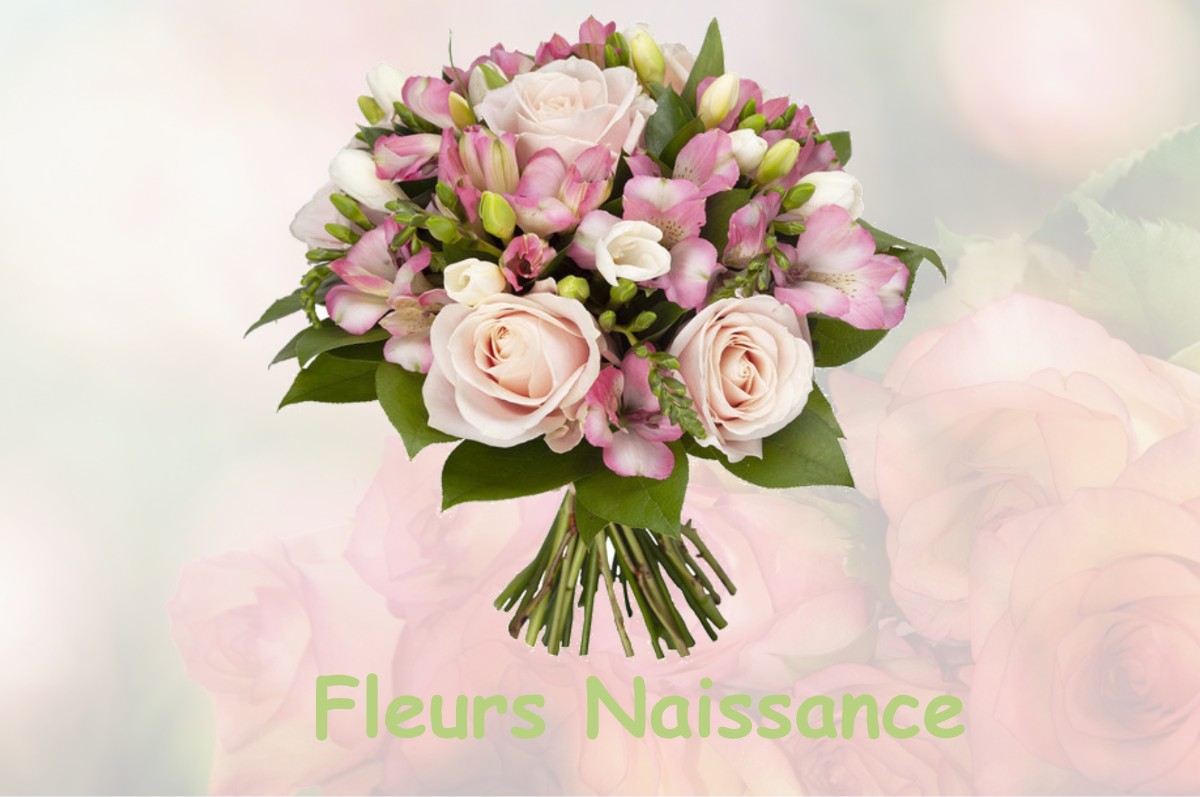 fleurs naissance SAINT-SULPICE-DE-GUILLERAGUES